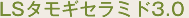 LS^MZ~h 3.0 LS Tamogi-Ceramide3.0
